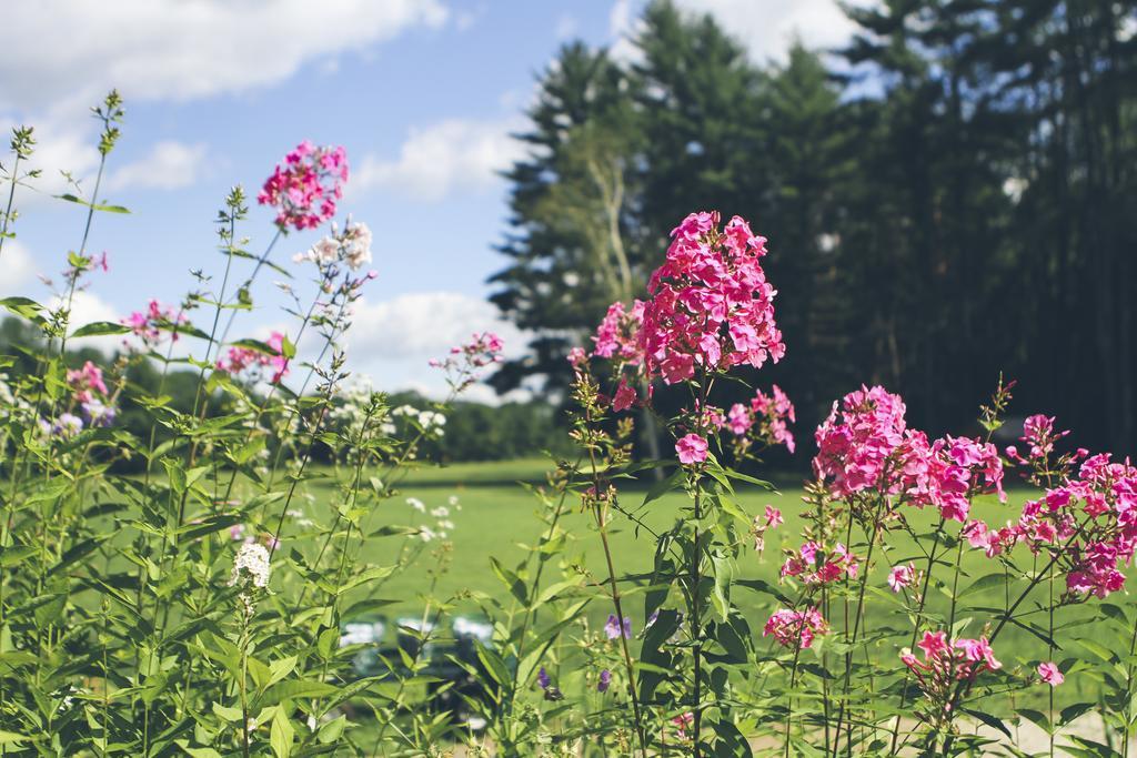 Old Saco Inn Fryeburg エクステリア 写真